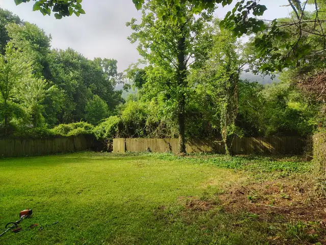 Yard after cleanup, Asheville NC