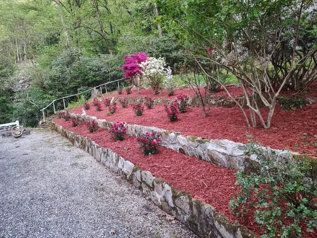 Restored terraced garden with fresh mulch and roses in Asheville, NC