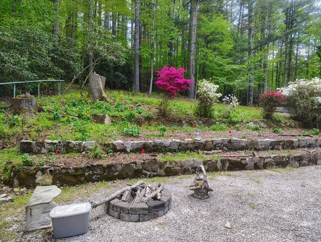 Overgrown terraced garden before restoration, Asheville NC