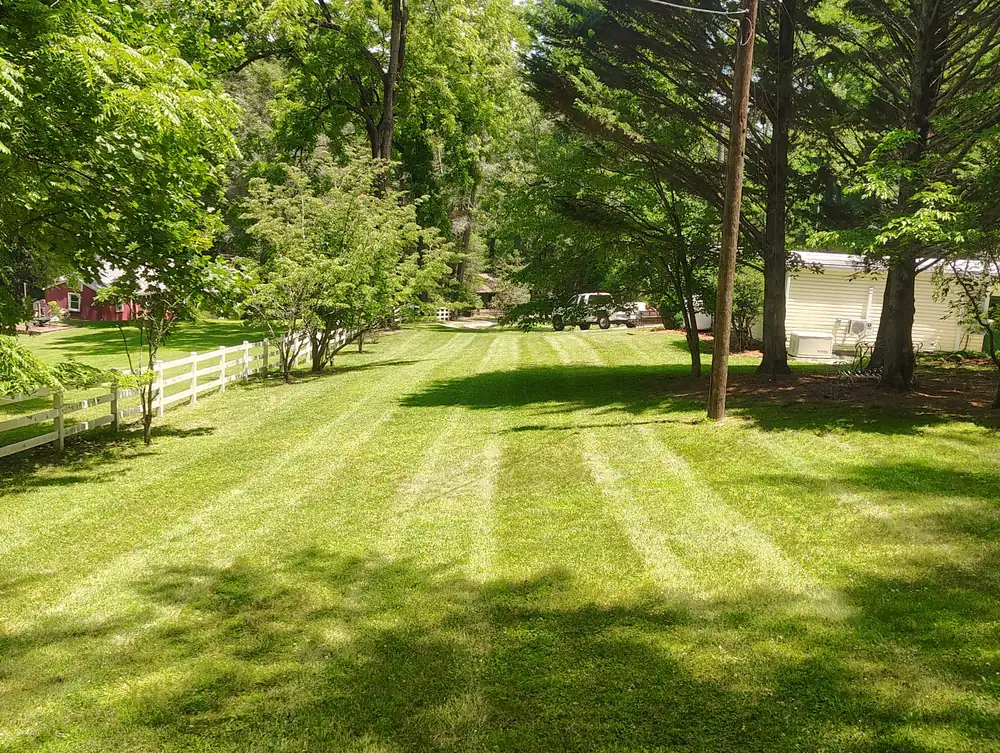 Wide green lawn maintained by Ruben's Landscaping near Asheville NC