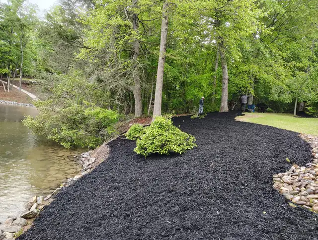 Mulch installation around garden bed in Asheville NC