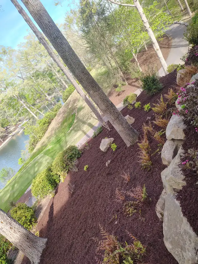 Mulch bed around shrubs, Asheville NC